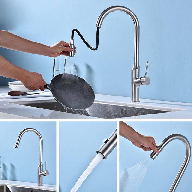 Modern 1-Handle Faucets Stainless Steel with Water Dispenser Pull down Faucets