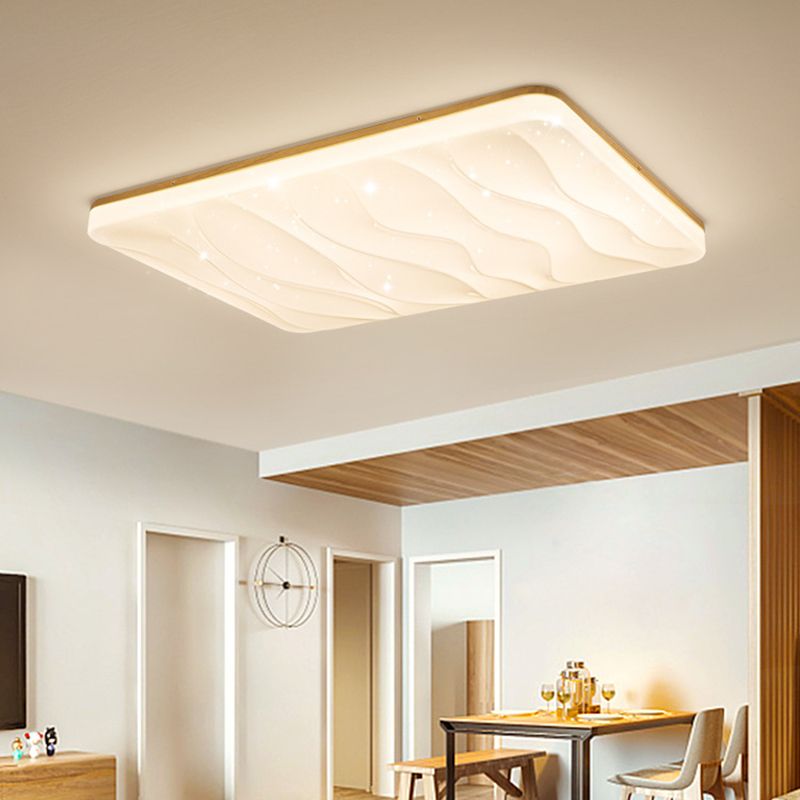 Unique Shape Flush Ceiling Lights Modern Acrylic Flush Mount Lighting