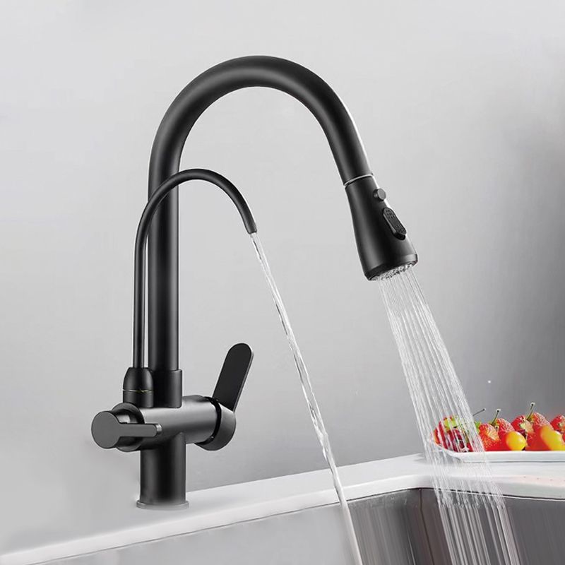 Modern 2-Handle Faucets Copper with Water Dispenser Standard Kitchen Faucets