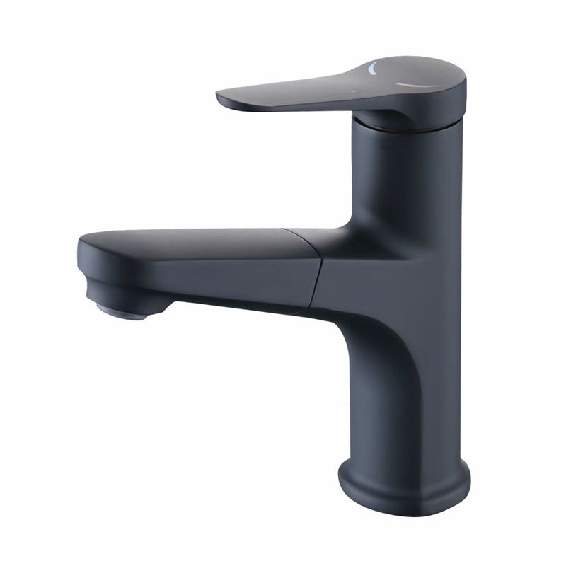 Modern 1-Handle Faucet with Water Dispenser Copper with Pull out Sprayer Faucet