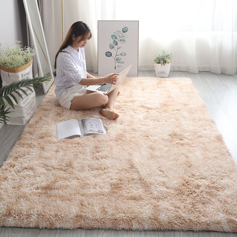 Simplicity Plain Shag Carpet Polyester Indoor Rug Non-Slip Backing Area Rug for Home Decoration