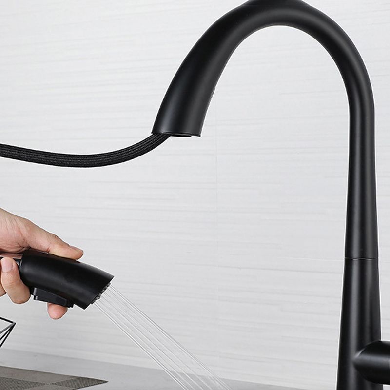 Modern Style Kitchen Faucet 304 Stainless Steel Single Handle Gooseneck Kitchen Faucet