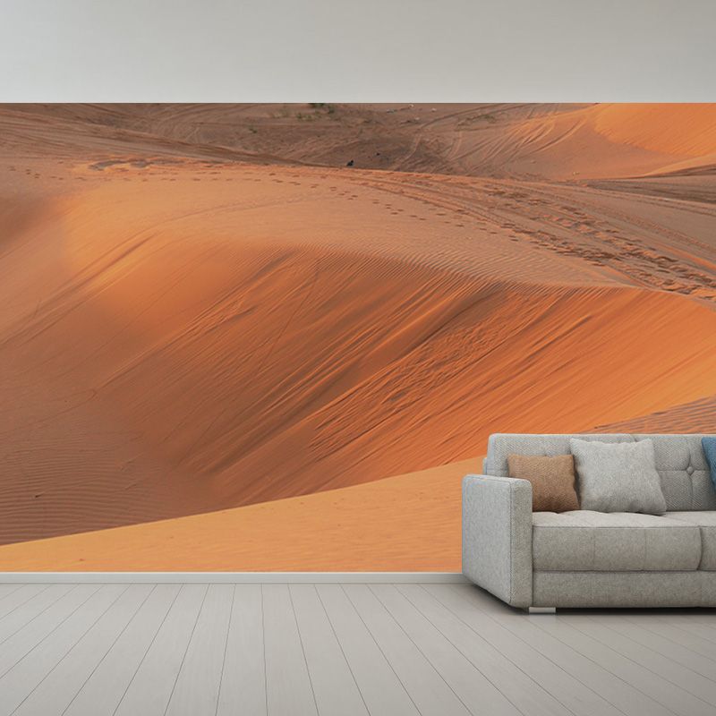 Desert Photography Decorative Wall Mural Living Room Mural Wallpaper