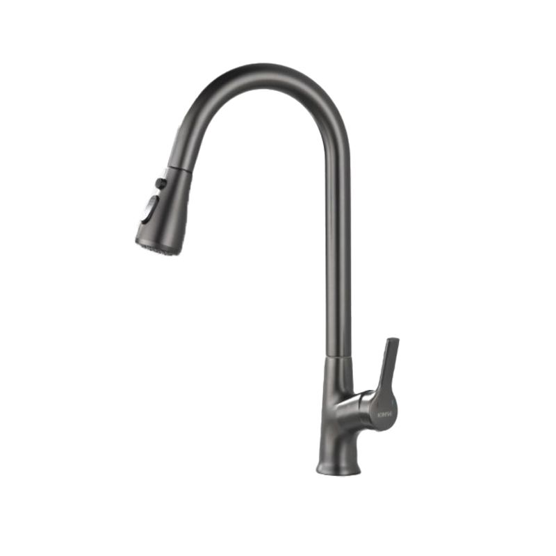 Modern 1-Handle Faucets Stainless Steel with Water Dispenser Pull down Faucets