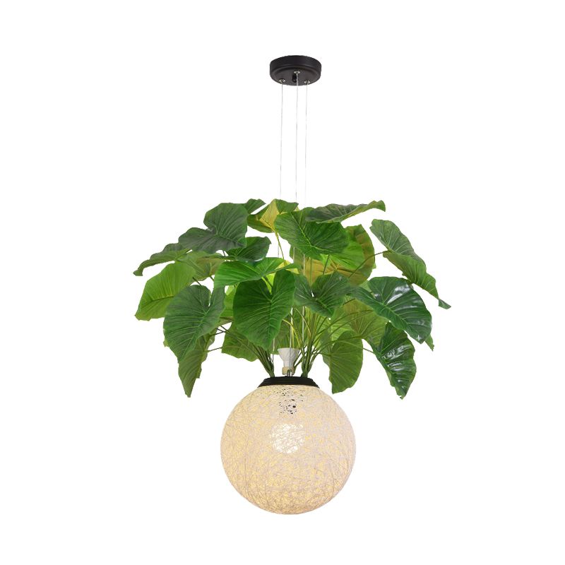 1 Head Metal Pendant Lamp Antique White Ball Restaurant Down Lighting with Plant Decoration