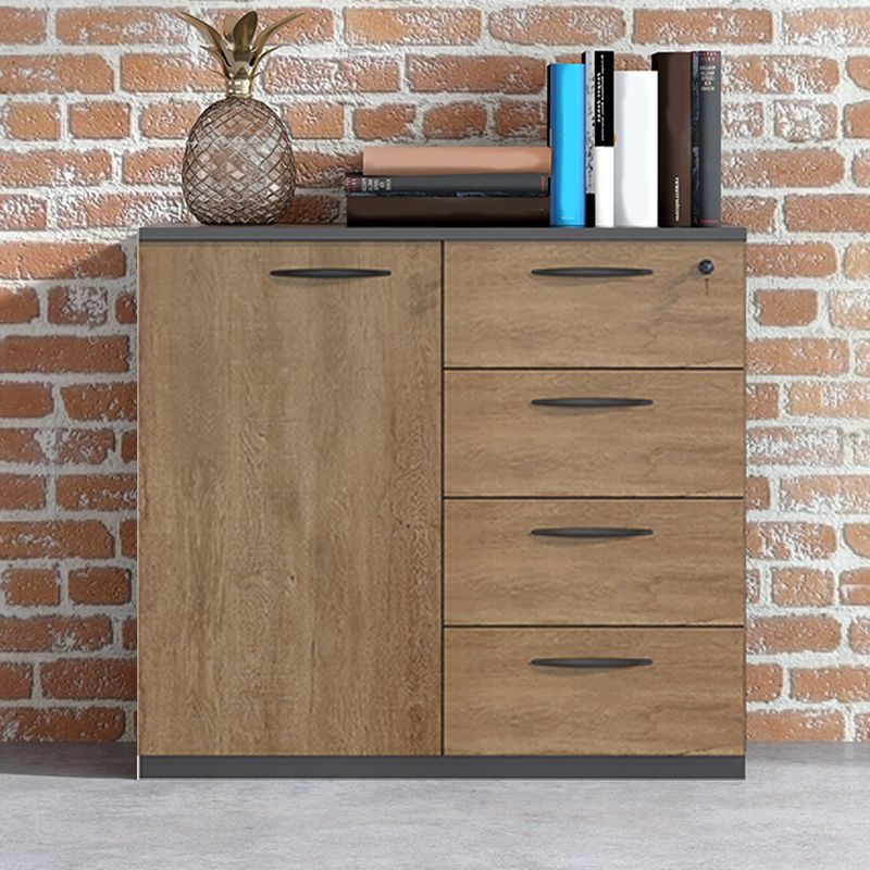 Medieval Modern Storage Cabinet Wooden Frame Key Locking File Cabinet in Brown