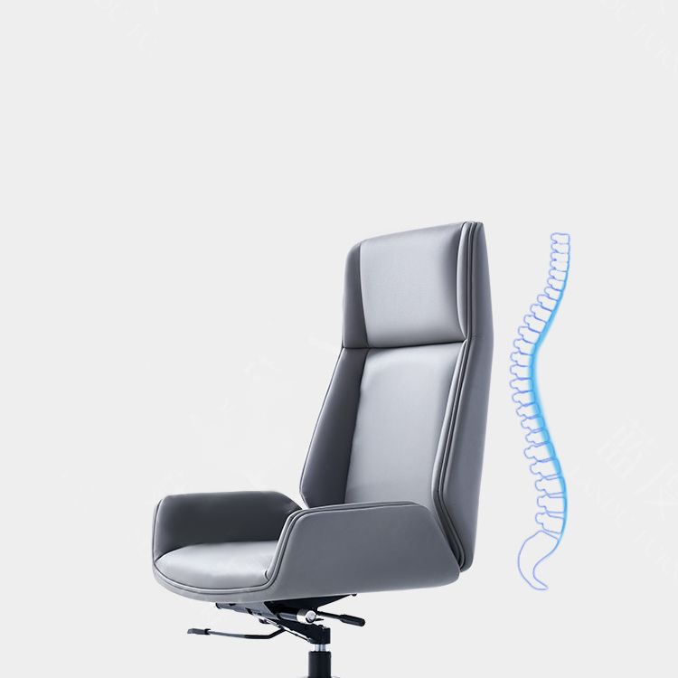 Contemporary Executive Ofiice Chair with Chrome Frame Armless Computer Desk Chair