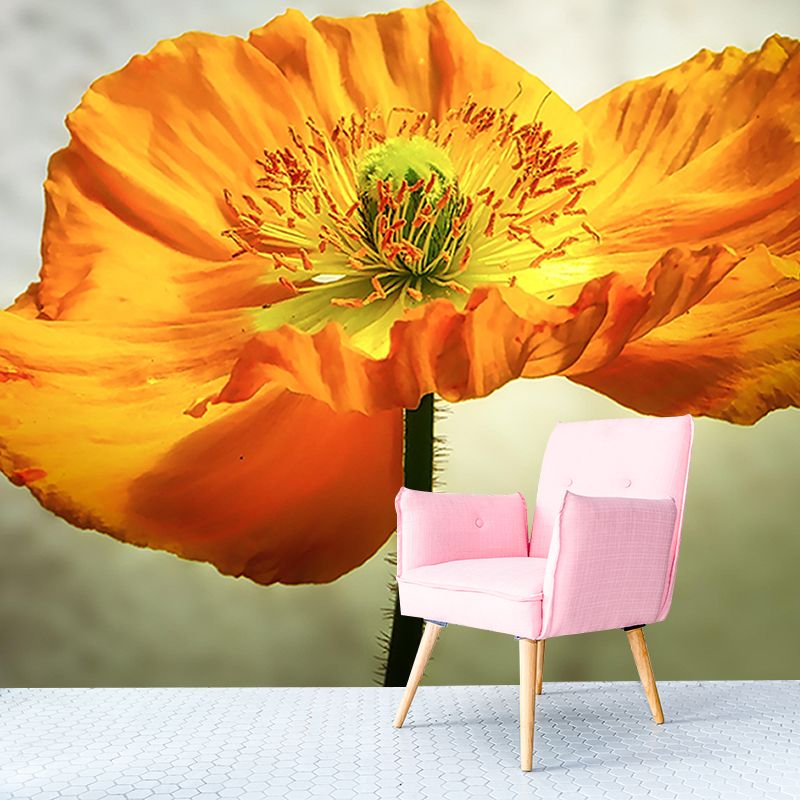 Photography Flower Decorative Wallpaper Living Room Wall Mural