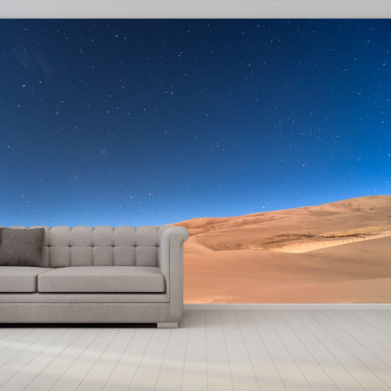 Contemporary Landscapes Wall Mural Photography Desert Resistant Wallpaper