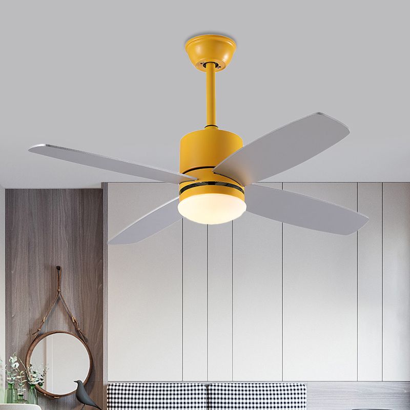 Cylinder Semi Flush Mounted Lamp Modern Metallic Green/Grey/Yellow 4 Blades LED Hanging Fan Light, 42" W