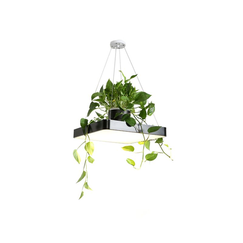 Square Restaurant Ceiling Pendant Nordic Acrylic Black/White/Blue LED Hanging Lamp Kit with Plant Container, 16"/19.5" W