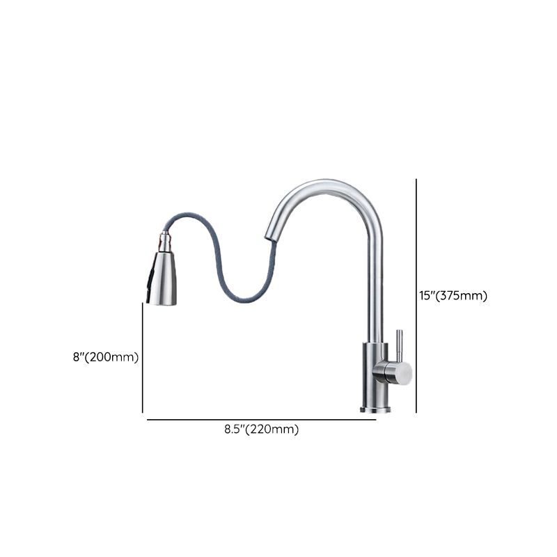 Modern 1-Handle Faucet 304 Stainless Steel with Water Dispenser Pull down Faucet