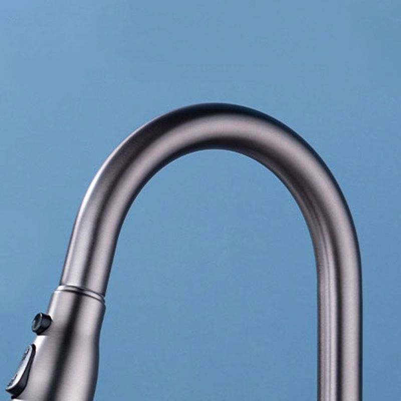 Modern 1-Handle Faucet with Pull out Sprayer with Water Dispenser Copper Faucet