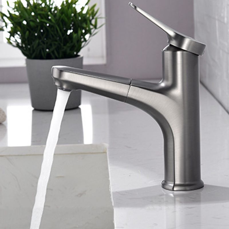 Modern 1-Handle Faucet with Water Dispenser Copper with Pull out Sprayer Faucet