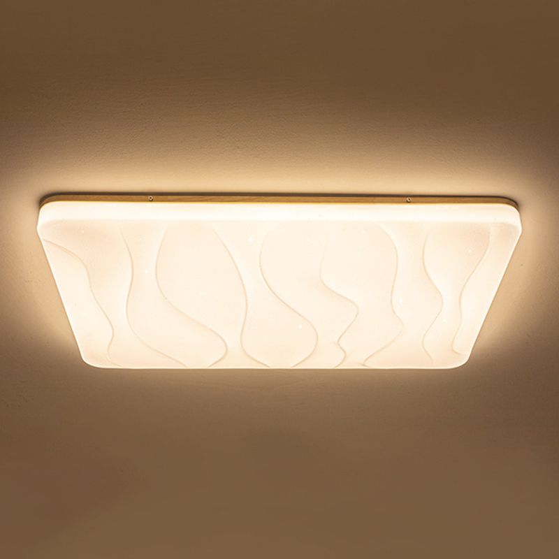 Unique Shape Flush Ceiling Lights Modern Acrylic Flush Mount Lighting