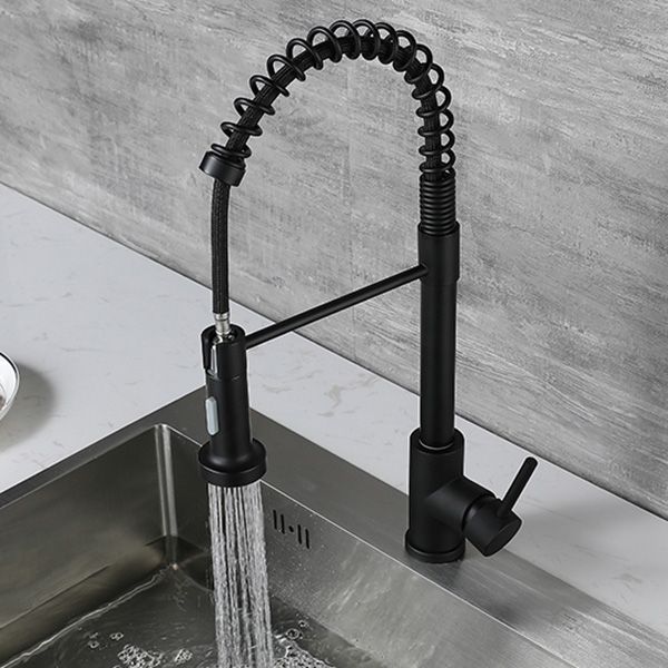 Modern Spring Spout Faucets 1-Handle 1-Hole with Water Dispenser Standard Kitchen Faucets