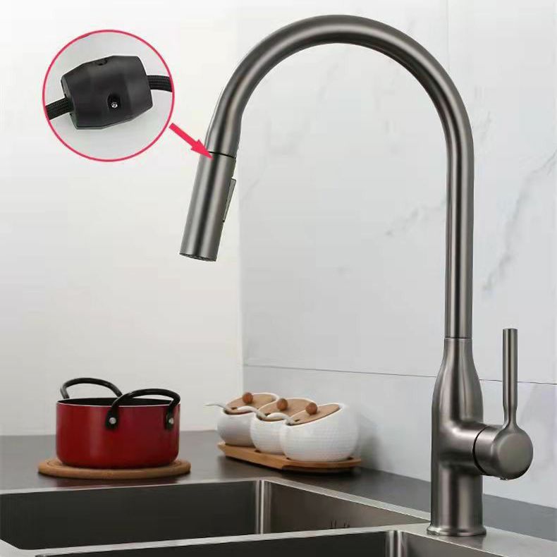 Modern 1-Handle Faucet Pull out Sprayer Standard Kitchen Faucet