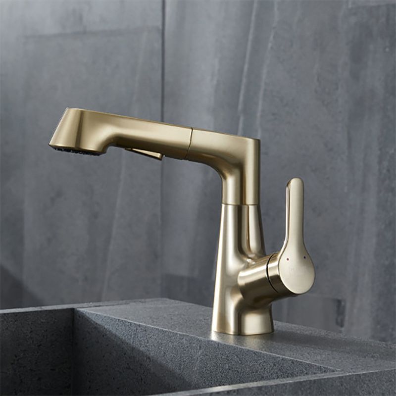 Contemporary Kitchen Faucet Single Handle 2-Function Faucet with Pull out Sprayer