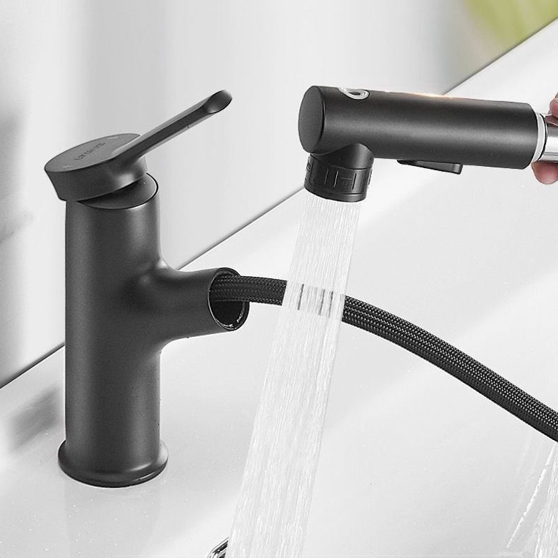 Modern Design Bathroom Faucet Single Handle Faucet with Water Hose