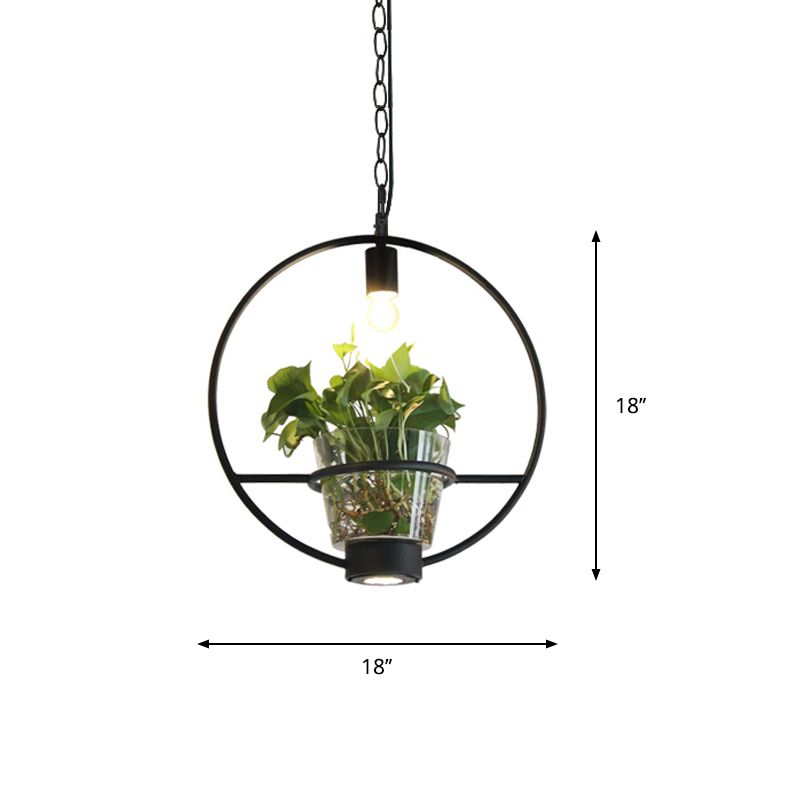 Black 1 Light Down Lighting Industrial Iron Circular/Rectangular Cage Drop Pendant with Clear Glass Plant Pot