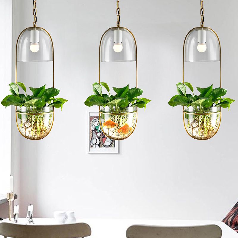 1 Bulb Pendant Light Antique Hemisphere Planter Clear Glass Hanging Light Fixture with Oblong Frame in Gold