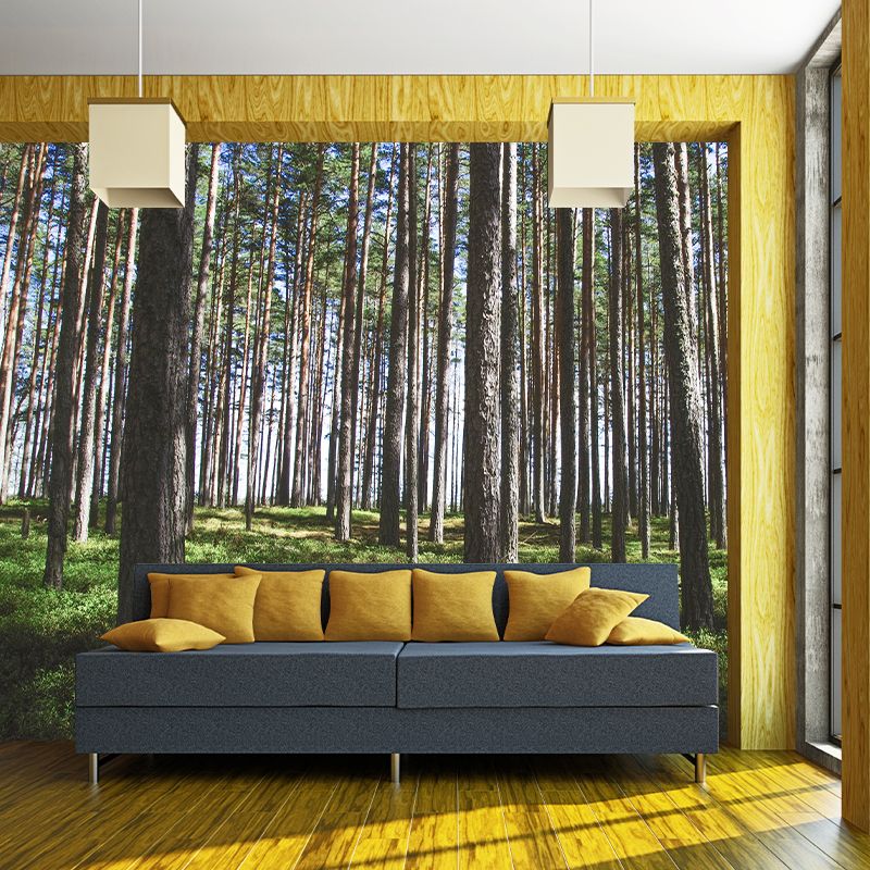 Decorative Photography Wallpaper Forest Sitting Room Mural Wallpaper