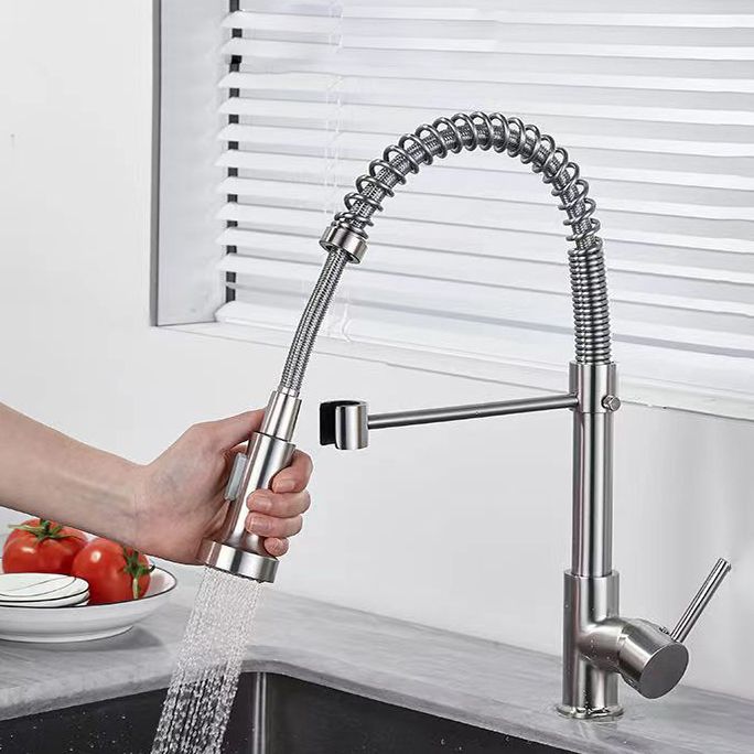 1-Handle Faucets with Water Dispenser Spring Spout Standard Kitchen Faucets