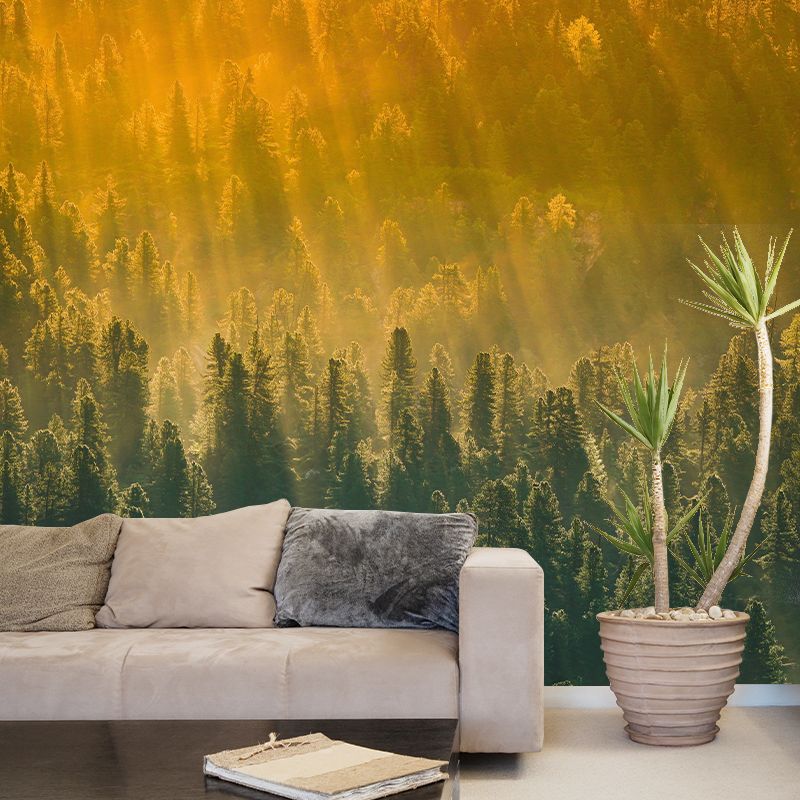 Plants Wall Mural Contemporary Photography Resistant Forest Wall Mural