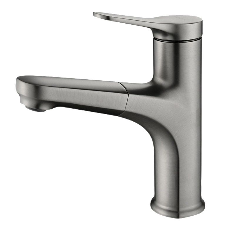 Modern 1-Handle Faucet with Water Dispenser Copper with Pull out Sprayer Faucet