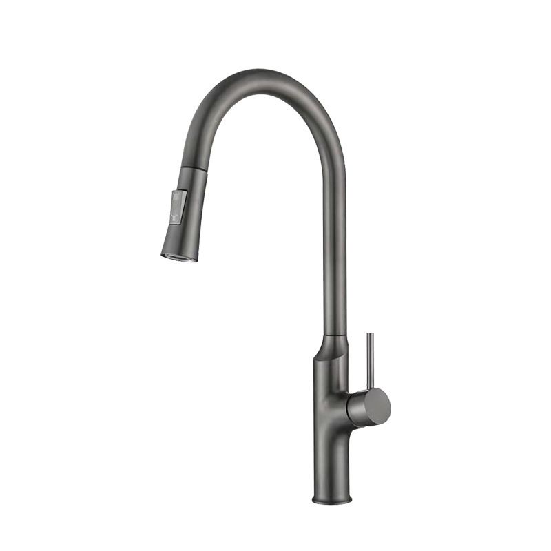 Contemporary Single Lever Kitchen Faucet 1-Hold Water Faucet with Pull out Sprayer