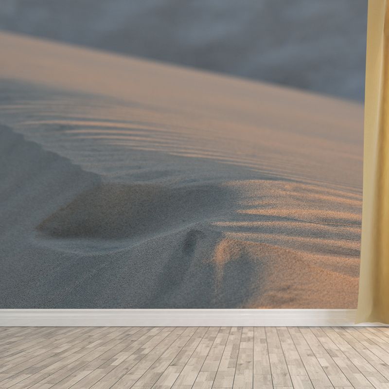 Desert Photography Mural Stain Resistant Landscapes Environmental Wall Mural