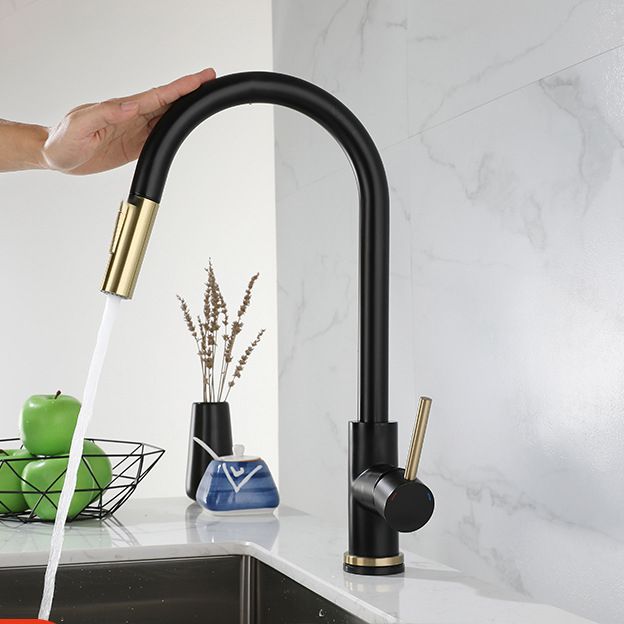 Modern Style Kitchen Faucet Stainless Steel 1-Handle Gooseneck Kitchen Faucet