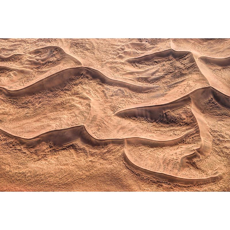 Environmental Mural Landscapes Stain Resistant Desert Photography Wall Mural