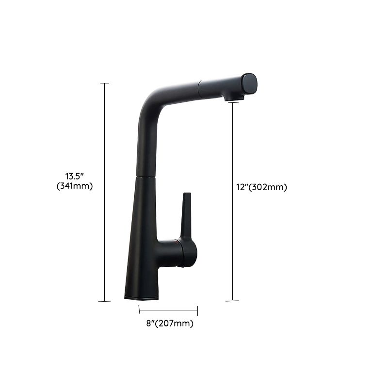 Modern Style Bar Faucet Copper Lever Handle Gooseneck Bar Faucet in Black