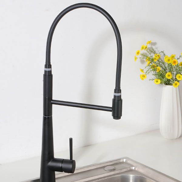 Modern Farmhouse Kitchen Faucet Pull down One Handle High Arch Water Filler