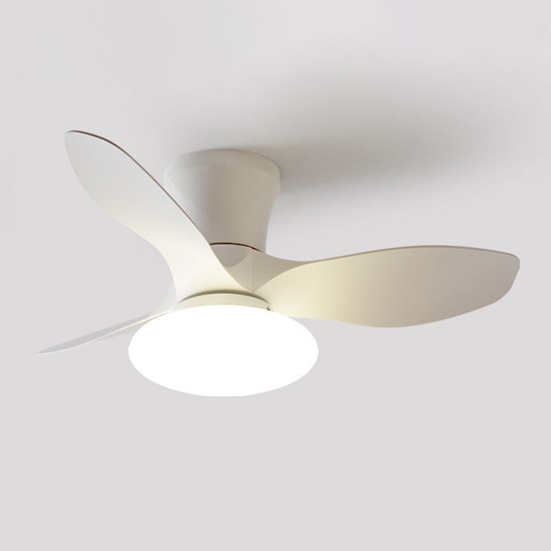 Metal Fan Shape Ceiling Fan Modern Style 1 Light Ceiling Fans Fixtures