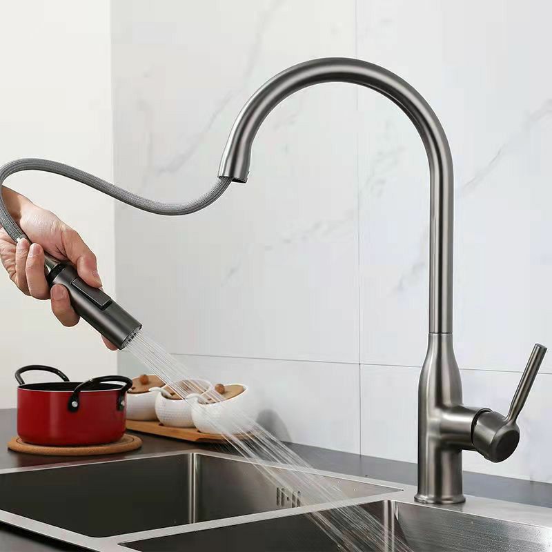 Modern 1-Handle Faucet Pull out Sprayer Standard Kitchen Faucet