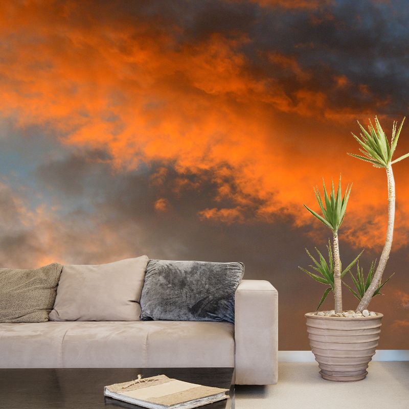 Photography Sky Pattern Wall Mural Decorative Stain Resistant Living Room Wall Mural