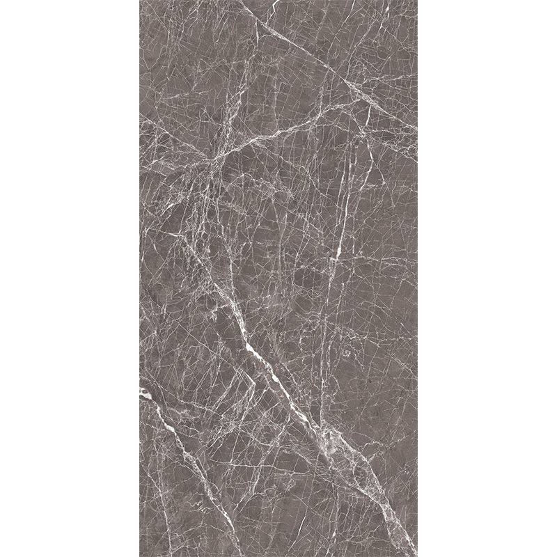 Modern Porcelain Singular Tile Marble Patterned Textured Wall Tile