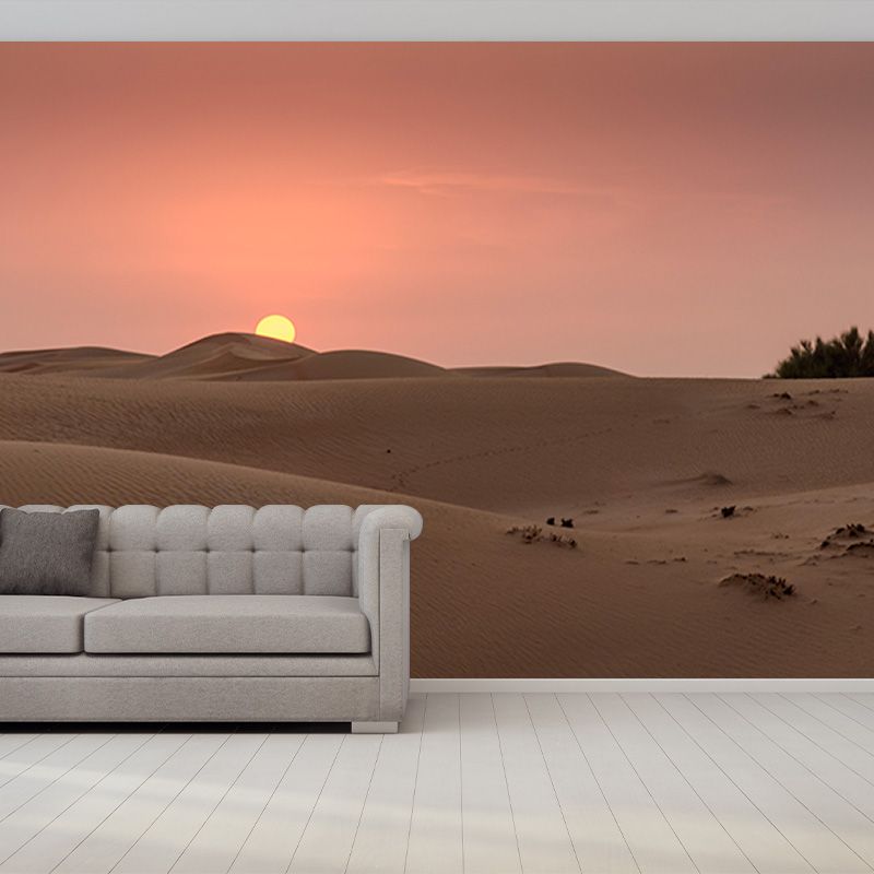 Desert Environment Friendly Photography Wallpaper Sitting Room Wall Mural