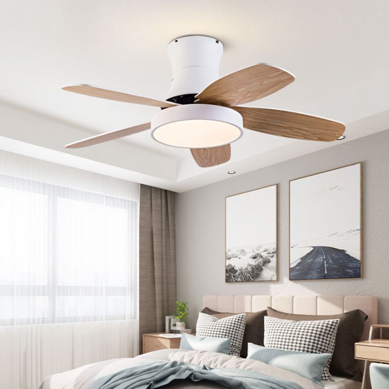 Colorful Ceiling Fan Light Fixture Modern LED Ceiling Lamp for Bedroom