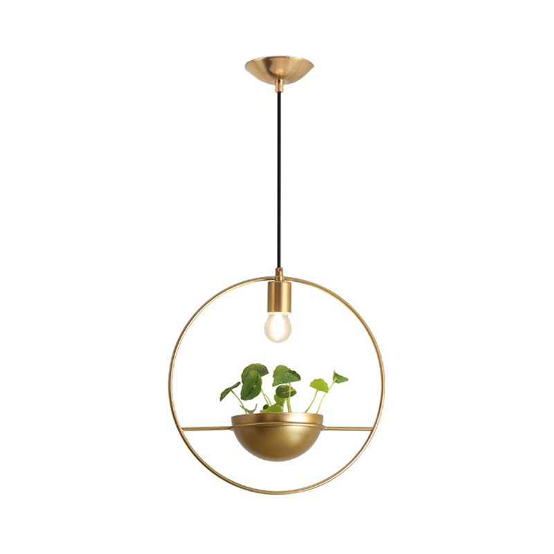 Goud 1 hoofd hanglamp industrieel metalen metalen ronde hangend plafondlicht met plantendecoratie