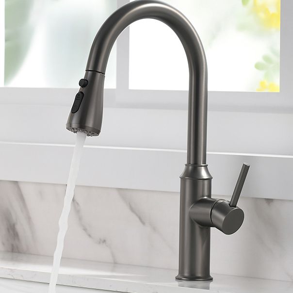 Modern Pull Out Single Rotary Switch Kitchen Faucet High Profile Faucet