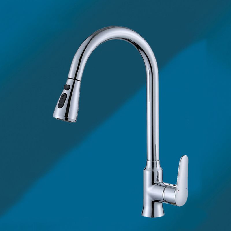 Modern 1-Handle Faucet with Pull out Sprayer with Water Dispenser Copper Faucet