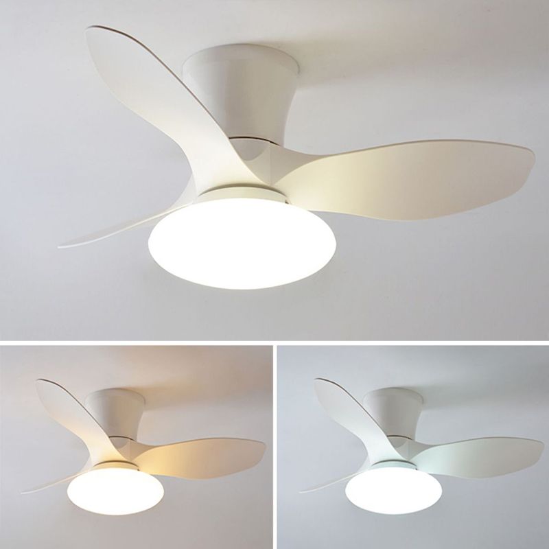 Metal Fan Shape Ceiling Fan Modern Style 1 Light Ceiling Fans Fixtures