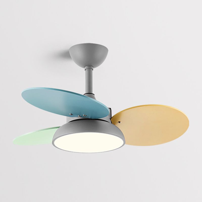 Lámpara de ventilador colgante de Circle de Macaron Círculo Metálico Metálico LED LED SEMI FLUSH LUCHE