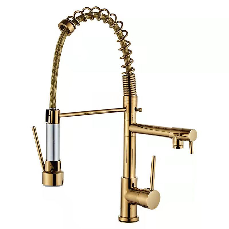 Modern Spring Spout Faucets Handle with Water Dispenser Standard Kitchen Faucets