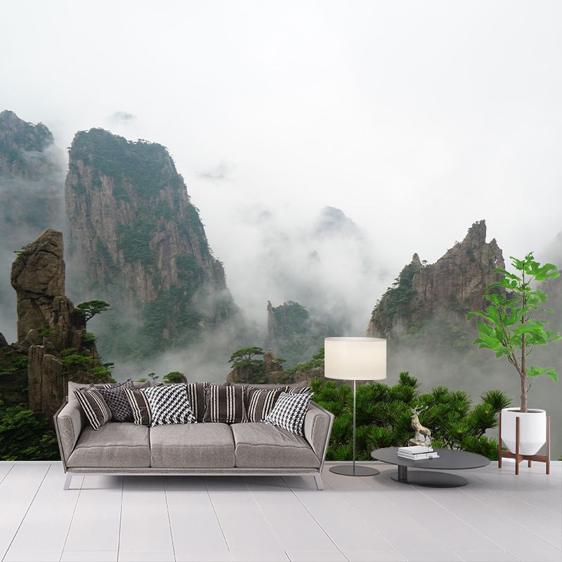 Mildew Resistant Mountain Wall Mural Modern Photography Environmental Wall Mural