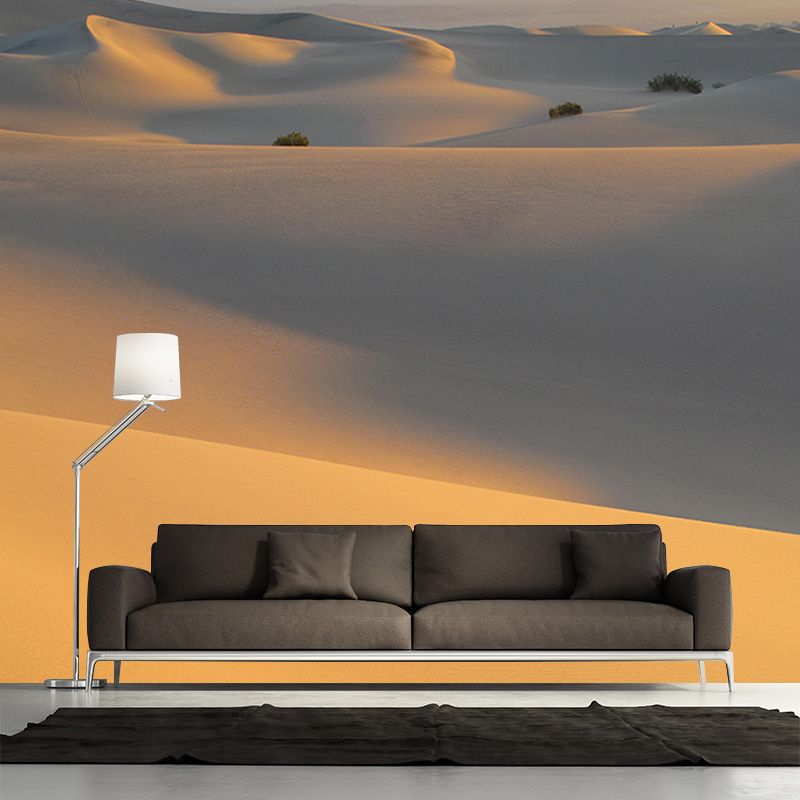 Environmental Photography Desert Wallpaper Drawing Room Wall Mural