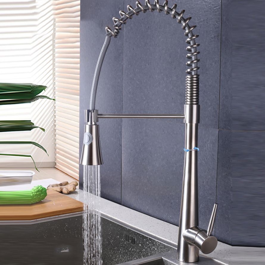 Contemporary Kitchen Faucet Pull down Sprayer Standard Bar Faucet in Silver